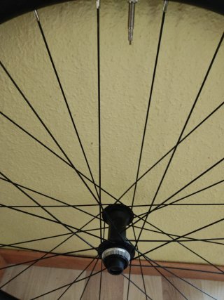 Rueda 29 delantera Boost  30 mm. Center lock
