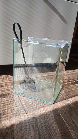 Pecera de cristal con tapa y red