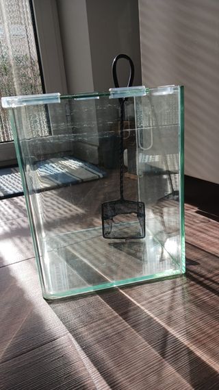 Pecera de cristal con tapa y red