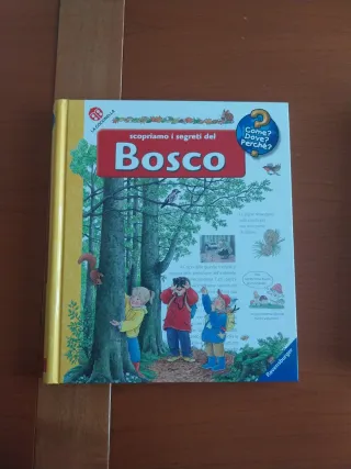 Scopriamo i segreti del bosco