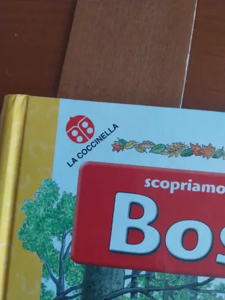 Scopriamo i segreti del bosco