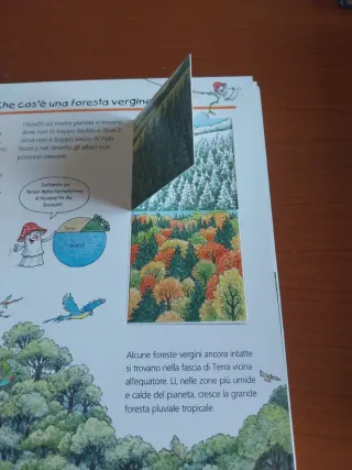 Scopriamo i segreti del bosco