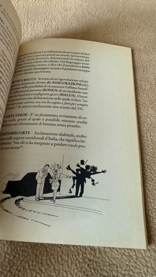 Il manuale del vero automobilista