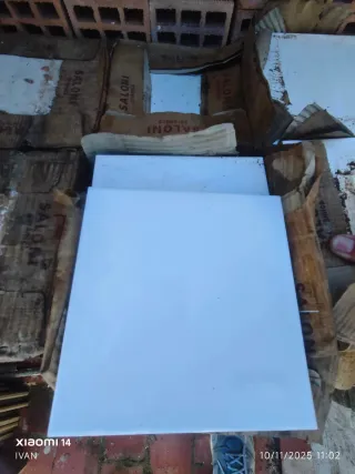 Azulejos cerámicos Saloni 20x20 blancos