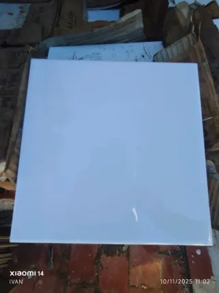 Azulejos cerámicos Saloni 20x20 blancos