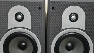Altavoces B&W  DM-550