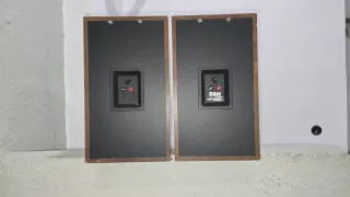 Altavoces B&W  DM-550