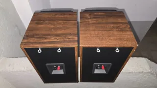 Altavoces B&W  DM-550