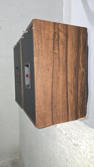 Altavoces B&W  DM-550