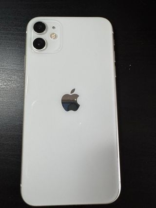 iPhone 11 con accesorios