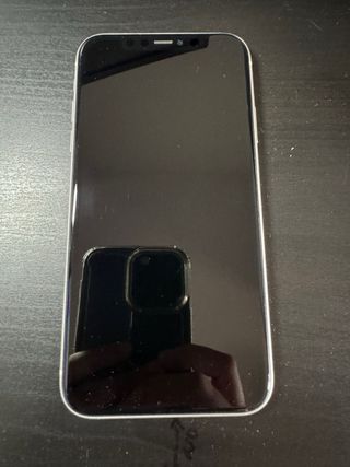 iPhone 11 con accesorios