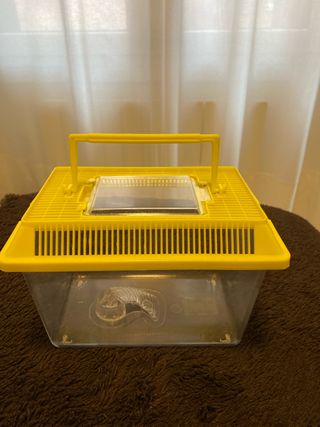 Acuario plástico con tapa ventilada