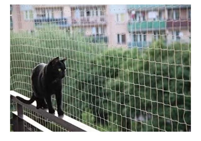 Red protectora gatos y palomas