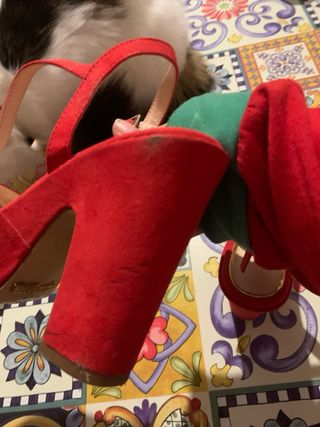 Sandali scamosciati Primadonna Collection 37