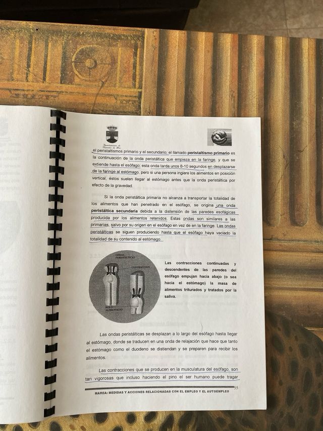 nutrición módulo 3 completo  fisiología módulo 1 c