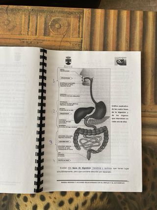 nutrición módulo 3 completo  fisiología módulo 1 c