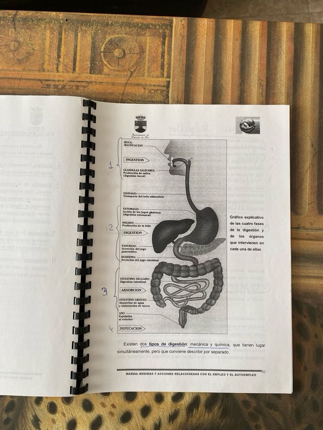 nutrición módulo 3 completo  fisiología módulo 1 c