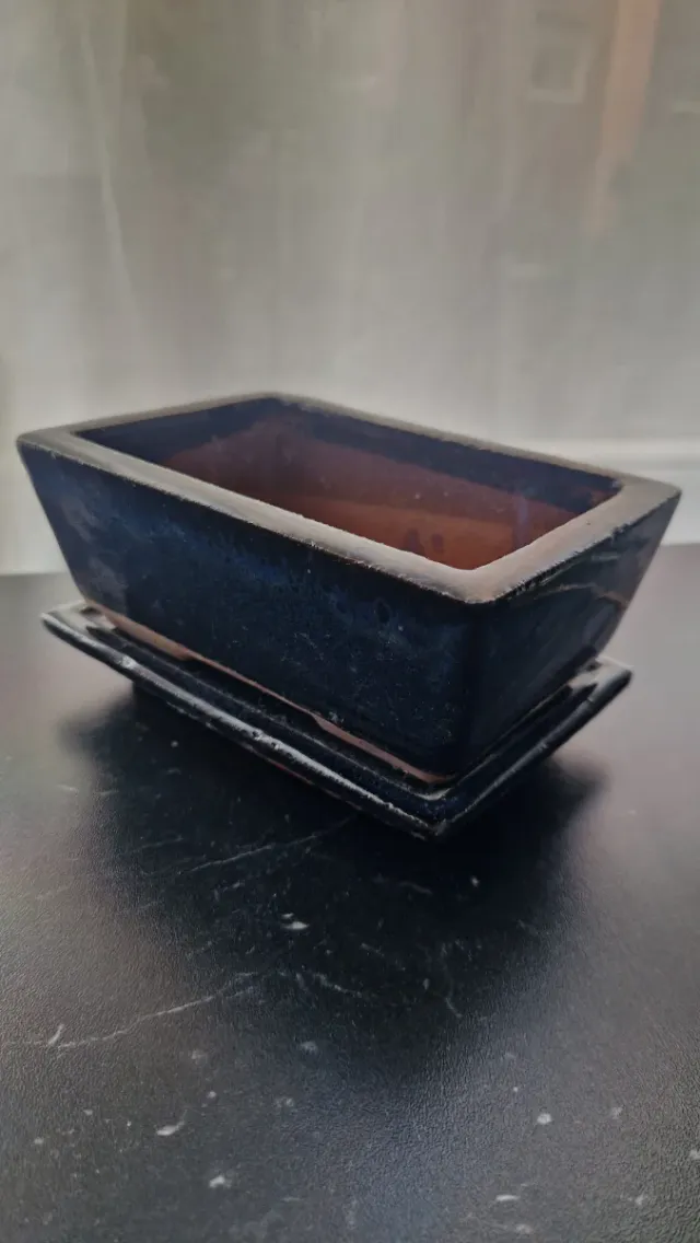 Macetas de cerámica para bonsái