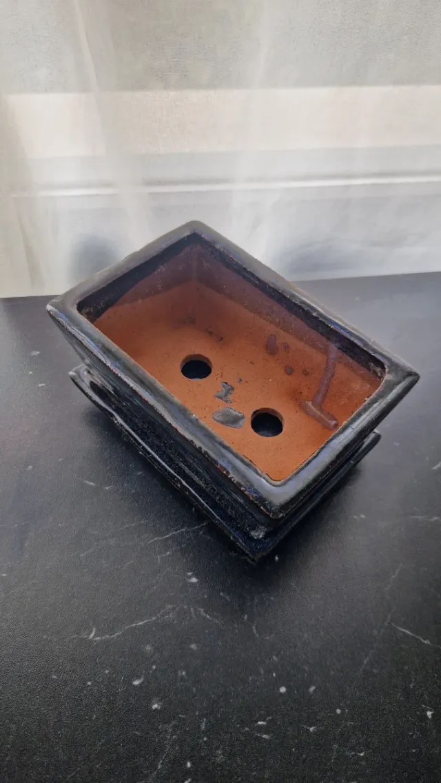 Macetas de cerámica para bonsái