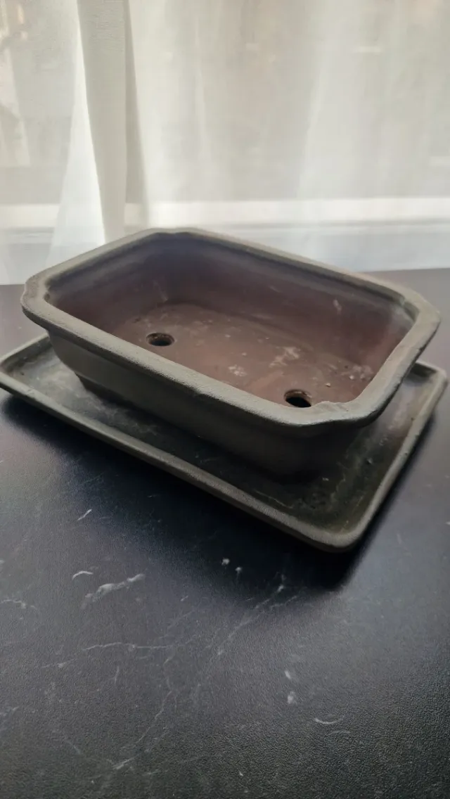 Macetas de cerámica para bonsái