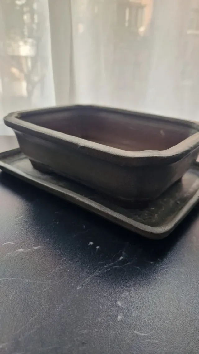 Macetas de cerámica para bonsái