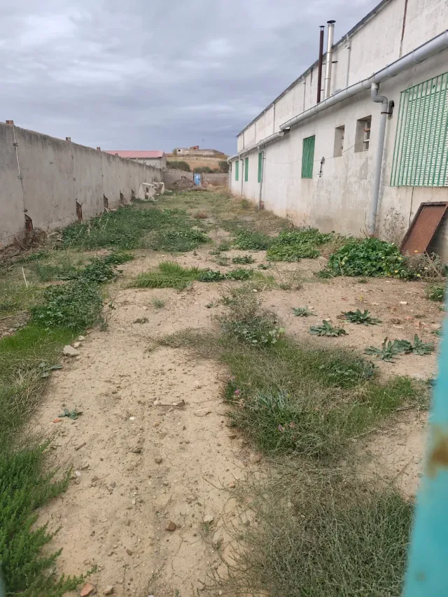 Nave industrial en venta/alquiler