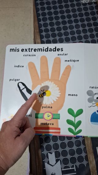 10 libros infantiles variados para aprender