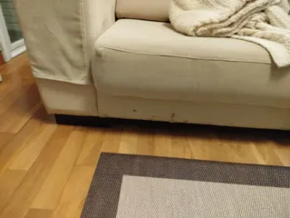 Sofá de 2 plazas en tela beige. Regalo 2 alfombras