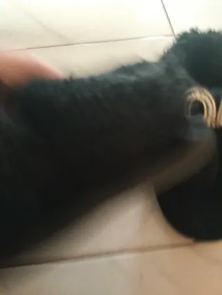 Pantofole donna nere con decorazioni