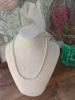 Chal Pashmina Bordada Nueva + Regalo collar 