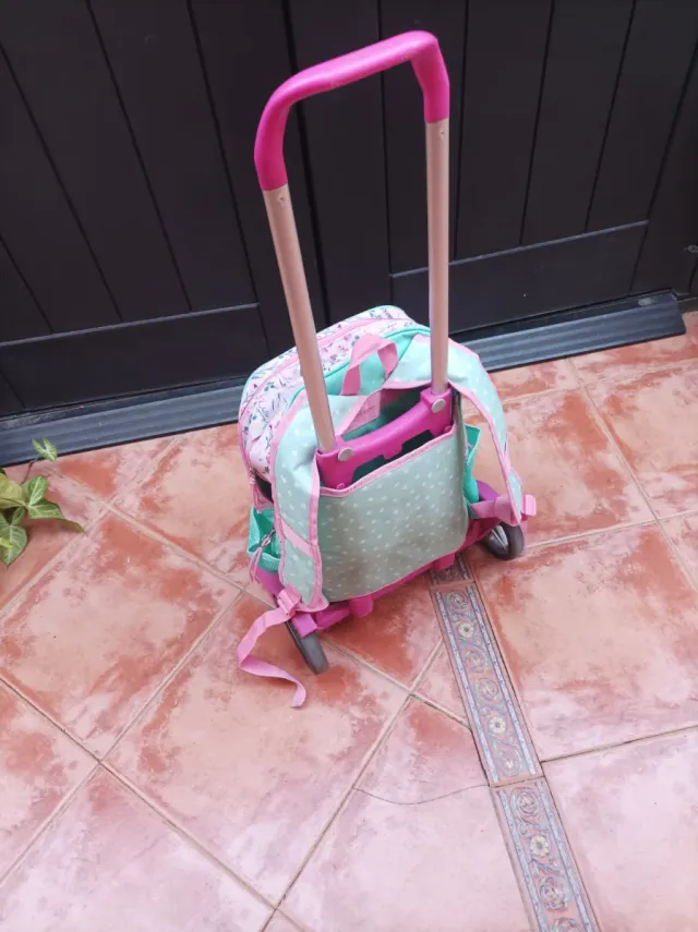 Mochila con ruedas y carro