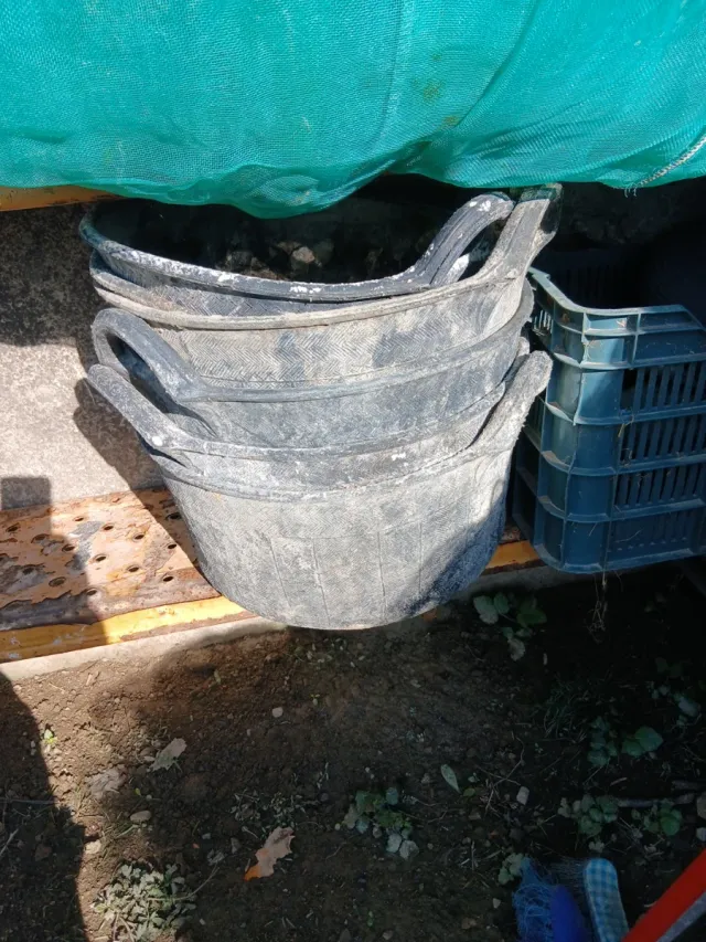 Capazos de obra (lote)