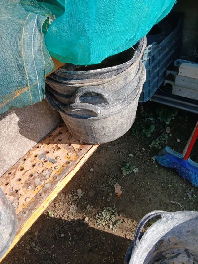 Capazos de obra (lote)