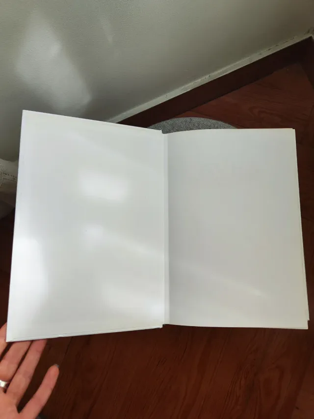 AVES DE EUROPA. GUIA DE IDENTIFICACION (GUIAS D...