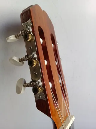 Guitarra Clásica juvenil admira con funda