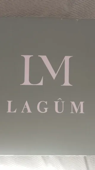 Botas cowboy ante tachuelas