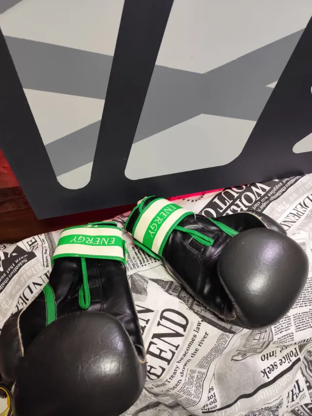 Guantes,calzonas, espinilleras ,leone...