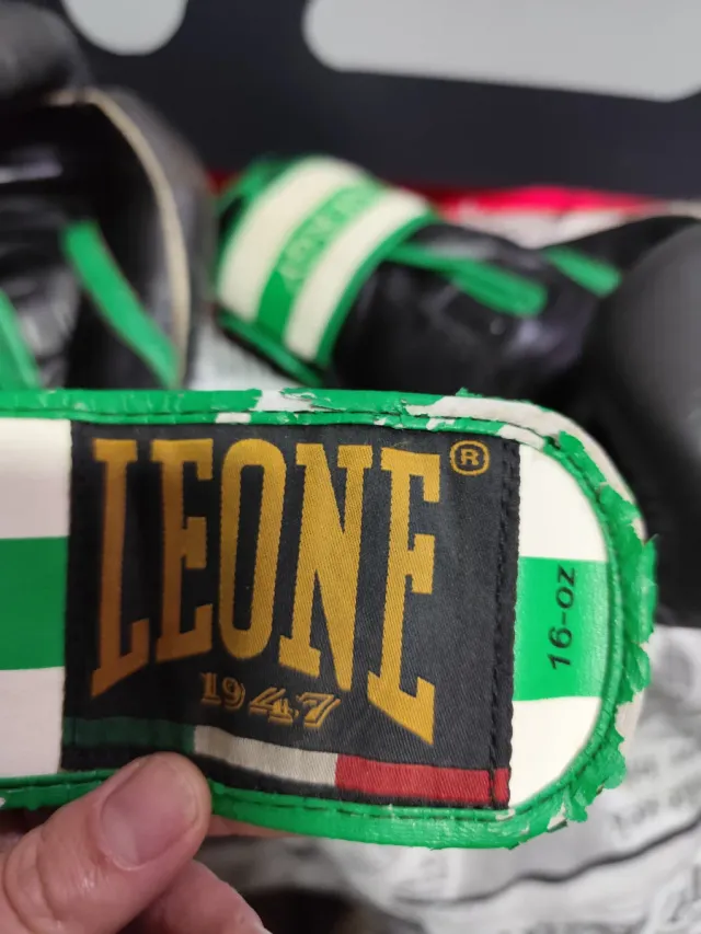 Guantes,calzonas, espinilleras ,leone...