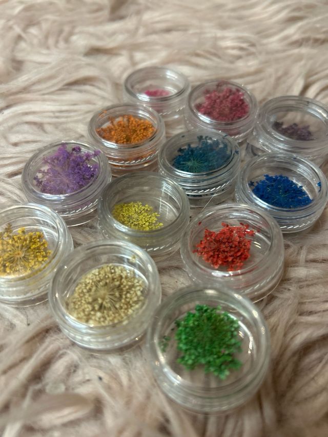 Flores secas para Colores variados