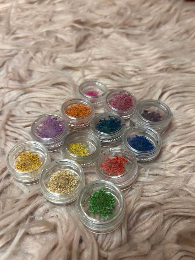 Flores secas para Colores variados