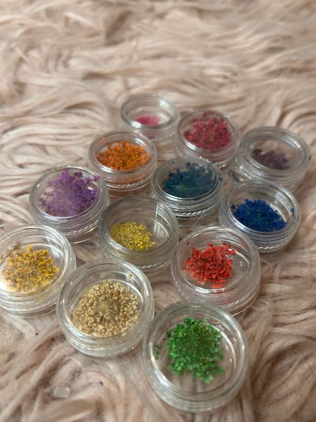 Flores secas para Colores variados