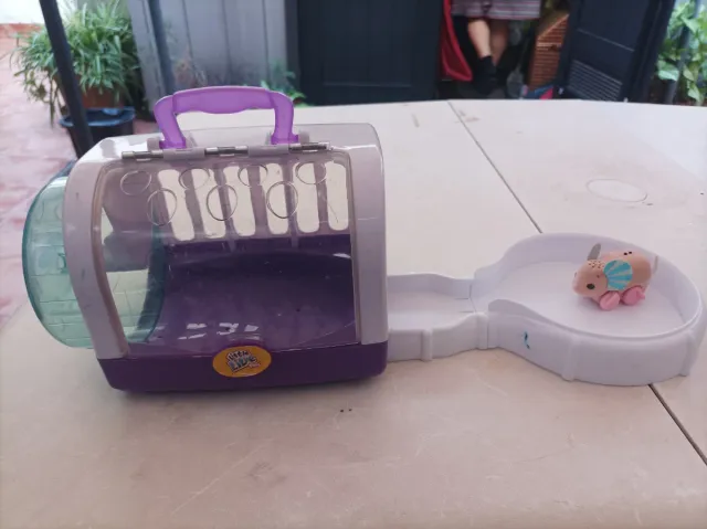 Casa de juegos para ratones