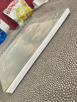 Teddy Bears Taschen Diary 2000