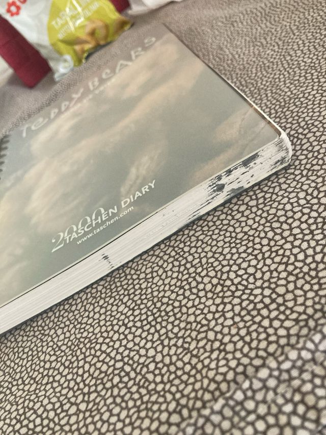 Teddy Bears Taschen Diary 2000