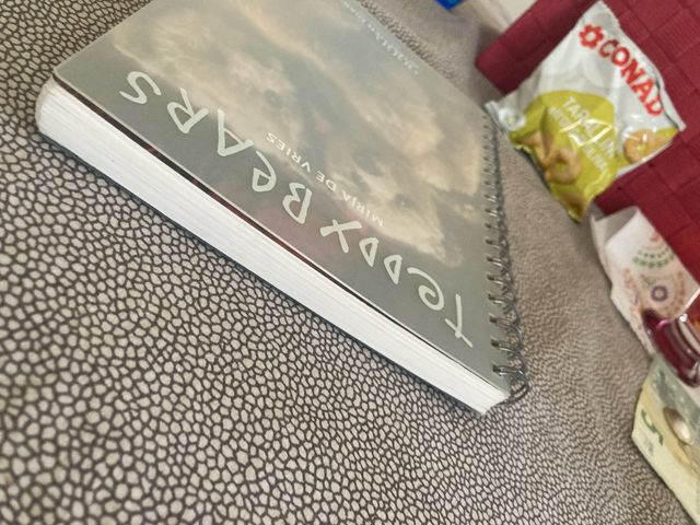 Teddy Bears Taschen Diary 2000