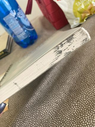 Teddy Bears Taschen Diary 2000