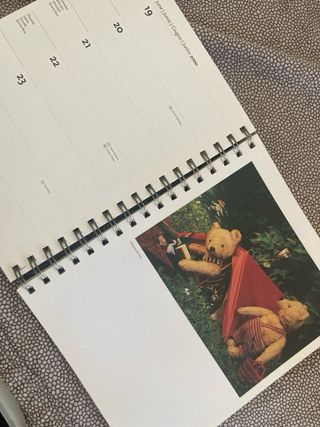 Teddy Bears Taschen Diary 2000