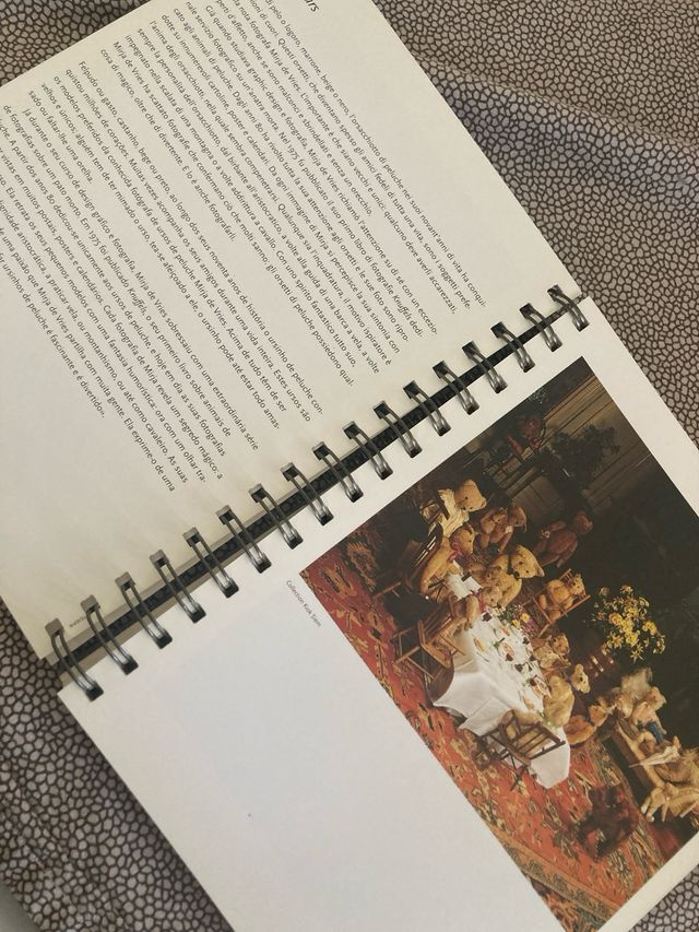 Teddy Bears Taschen Diary 2000