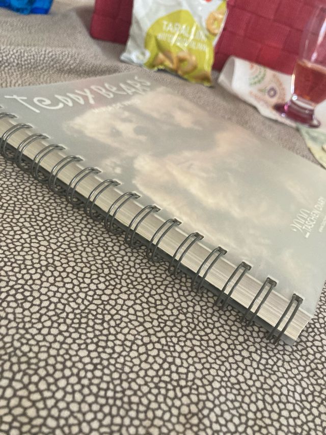 Teddy Bears Taschen Diary 2000