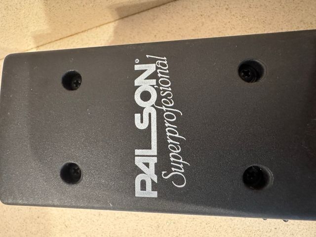 Piastre per capelli Palson